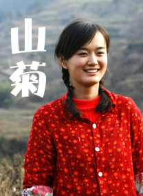 东北少妇av在线播放